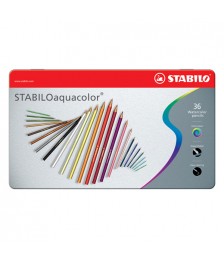 PASTELLI ACQUERELLABILI...