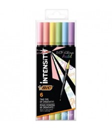 BIC INTENSITY PASTEL